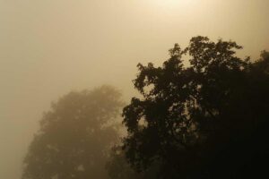 Non dicta dolor earum magni