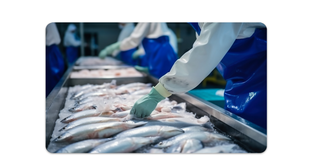 O Indeed reúne vagas para trabalhar em fábrica de peixe em todo o Brasil e permite se candidatar pelo celular, sem precisar entregar currículo presencialmente.