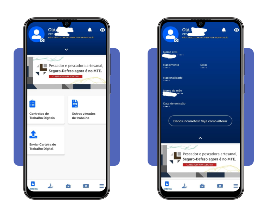 Tela de acesso e confirmação de dados na Carteira de Trabalho Digital